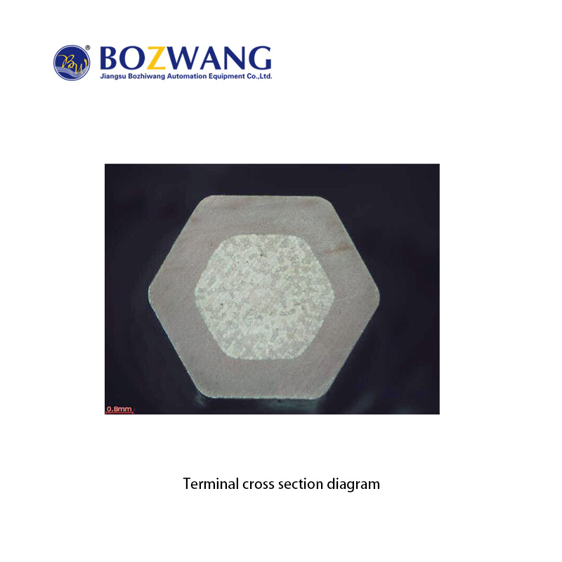 BZW-5C Hexagon shape terminal crimping  machine for small cable（35mm2）